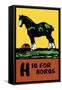 H is for Horse-Charles Buckles Falls-Framed Stretched Canvas