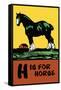 H is for Horse-Charles Buckles Falls-Framed Stretched Canvas