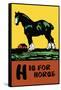 H is for Horse-Charles Buckles Falls-Framed Stretched Canvas