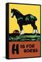 H is for Horse-Charles Buckles Falls-Framed Stretched Canvas