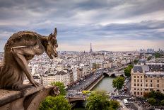 Chien et Notre Dame-H.J. Herrera-Photographic Print