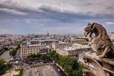 Chien et Notre Dame-H.J. Herrera-Photographic Print