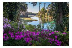 Chien et Notre Dame-H.J. Herrera-Photographic Print