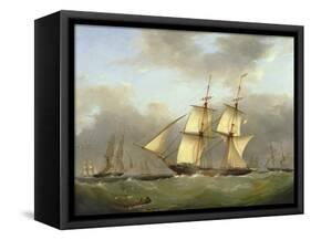 H.M. Brig Daring-Nicholas Condy-Framed Stretched Canvas