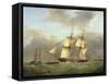 H.M. Brig Daring-Nicholas Condy-Framed Stretched Canvas