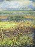 Shimmering Marsh II-H. Thomas-Laminated Art Print