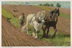 Ploughing with a Pair of Horses-H. Wheelwright-Art Print