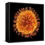 H1N1 Flu Virus Particle, Artwork-PASIEKA-Framed Stretched Canvas