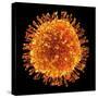 H1N1 Flu Virus Particle, Artwork-PASIEKA-Stretched Canvas