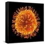 H1N1 Flu Virus Particle, Artwork-PASIEKA-Framed Stretched Canvas