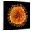 H1N1 Flu Virus Particle, Artwork-PASIEKA-Framed Stretched Canvas