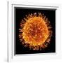 H1N1 Flu Virus Particle, Artwork-PASIEKA-Framed Photographic Print