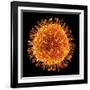 H1N1 Flu Virus Particle, Artwork-PASIEKA-Framed Photographic Print