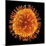 H1N1 Flu Virus Particle, Artwork-PASIEKA-Mounted Photographic Print