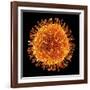 H1N1 Flu Virus Particle, Artwork-PASIEKA-Framed Photographic Print