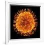 H1N1 Flu Virus Particle, Artwork-PASIEKA-Framed Photographic Print