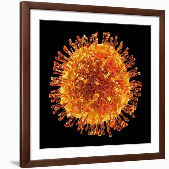 H1N1 Flu Virus Particle, Artwork-PASIEKA-Framed Photographic Print