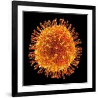 H1N1 Flu Virus Particle, Artwork-PASIEKA-Framed Photographic Print