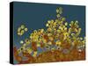 H1N1 Swine Flu Virus, TEM-Dr. Klaus Boller-Stretched Canvas