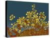 H1N1 Swine Flu Virus, TEM-Dr. Klaus Boller-Stretched Canvas