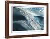 H2O 1-Florence Delva-Framed Giclee Print