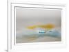 H2O 2237-Florence Delva-Framed Limited Edition