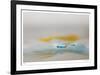 H2O 2237-Florence Delva-Framed Limited Edition