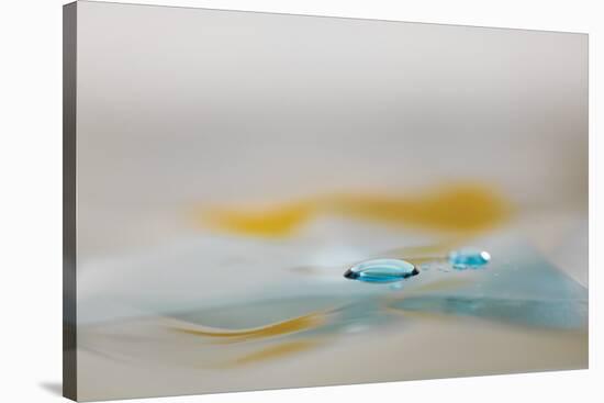 H2O 2237-Florence Delva-Stretched Canvas