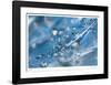 H2O 2-Florence Delva-Framed Giclee Print