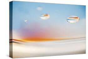 H2O 7431-Florence Delva-Stretched Canvas