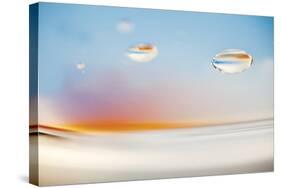 H2O 7431-Florence Delva-Stretched Canvas
