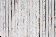 Vintage White Background Wood Wall.-H2Oshka-Photographic Print