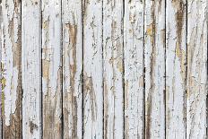 Vintage White Background Wood Wall.-H2Oshka-Photographic Print