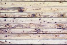 Grungy White Background of Natural Wood-H2Oshka-Photographic Print