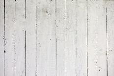 Vintage White Background of Natural Wood Old Wall-H2Oshka-Photographic Print