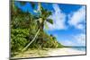 Ha'Apai Islands, Tonga, South Pacific-Michael Runkel-Mounted Photographic Print