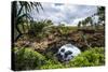 Ha'Ateiho, Big Rock Arch in Tongatapu, Tonga, South Pacific, Pacific-Michael Runkel-Stretched Canvas
