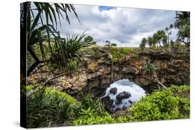 Ha'Ateiho, Big Rock Arch in Tongatapu, Tonga, South Pacific, Pacific-Michael Runkel-Stretched Canvas