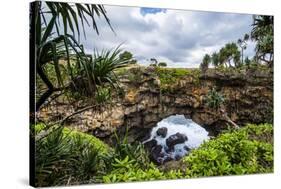 Ha'Ateiho, Big Rock Arch in Tongatapu, Tonga, South Pacific, Pacific-Michael Runkel-Stretched Canvas