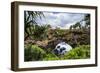 Ha'Ateiho, Big Rock Arch in Tongatapu, Tonga, South Pacific, Pacific-Michael Runkel-Framed Photographic Print