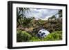 Ha'Ateiho, Big Rock Arch in Tongatapu, Tonga, South Pacific, Pacific-Michael Runkel-Framed Photographic Print