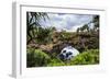 Ha'Ateiho, Big Rock Arch in Tongatapu, Tonga, South Pacific, Pacific-Michael Runkel-Framed Photographic Print