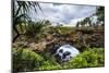 Ha'Ateiho, Big Rock Arch in Tongatapu, Tonga, South Pacific, Pacific-Michael Runkel-Mounted Photographic Print