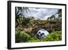 Ha'Ateiho, Big Rock Arch in Tongatapu, Tonga, South Pacific, Pacific-Michael Runkel-Framed Photographic Print