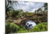 Ha'Ateiho, Big Rock Arch in Tongatapu, Tonga, South Pacific, Pacific-Michael Runkel-Mounted Photographic Print