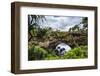 Ha'Ateiho, Big Rock Arch in Tongatapu, Tonga, South Pacific, Pacific-Michael Runkel-Framed Photographic Print