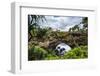 Ha'Ateiho, Big Rock Arch in Tongatapu, Tonga, South Pacific, Pacific-Michael Runkel-Framed Photographic Print