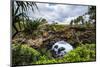 Ha'Ateiho, Big Rock Arch in Tongatapu, Tonga, South Pacific, Pacific-Michael Runkel-Mounted Photographic Print