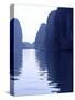 Ha Long Bay, Northern Vietnam-Don Bolton-Stretched Canvas