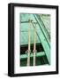 Ha Long Bay, Vietnam (UNESCO World Heritage Site). Close-up of oars on a green boat.-Tom Haseltine-Framed Photographic Print
